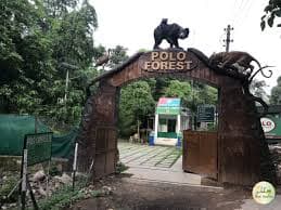 Polo Forest